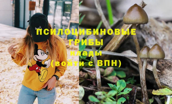 гидропоника Абаза