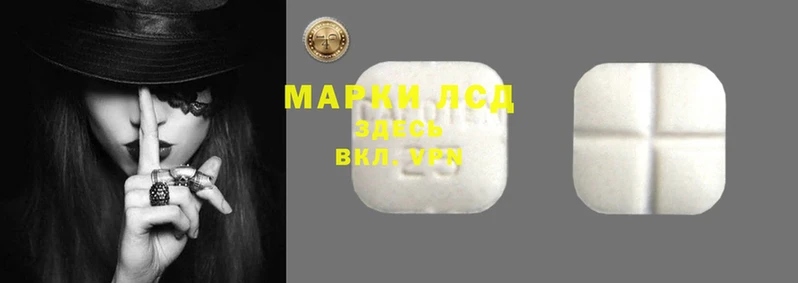 гидропоника Абаза