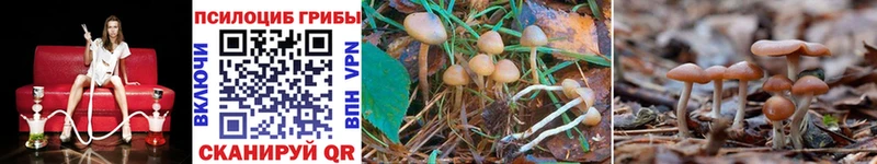 Псилоцибиновые грибы GOLDEN TEACHER Балашиха