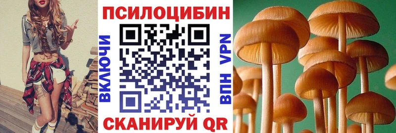 Галлюциногенные грибы мицелий  Балашиха 